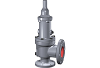 Safety Relief Valves | Consolidated 1900