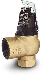 Cash Acme F95 ASME Safety Relief Valve for Hot Water