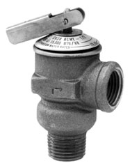 Cash Acme FWL2 and FWOL Safety Relief Valves