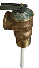 Cash Acme NCLX T&P Relief Valve