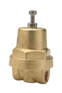 FRM Small Back Pressure Valves