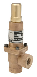 K10 Piston Type Back Pressure Valve