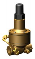 Fire Protection 55L Pressure Relief Valve Fire Protection 55L Pressure Relief Valve