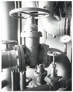 Model 1 EV 11 Soft Seated Valve