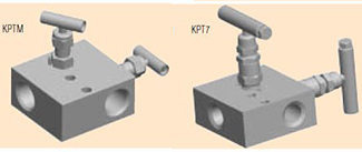 KPTM and KPT7 Kerotest 2-valve Series
