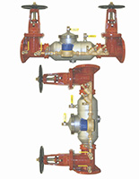 Apollo double check detector assembly