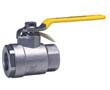 76FJ-100-Series Duplex SS valve