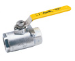 76J 100 Series 2-piece Duplex SS ball valve