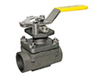 Top Entry SA Socket Weld Series Top Entry SA Socket Weld Series
