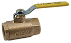 Bronze 2-piece check valve