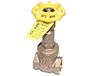 Apollo model 101T gate valve