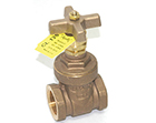 Apollo model 102T-K gate valve