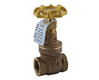 Apollo model 102T-LF gate valve