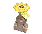 Apollo model 102T gate valve