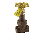 Apollo model 111T gate valve