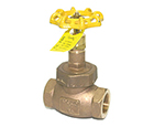 Apollo model 122T bronze globe valve