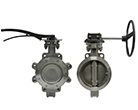 Butterfly Valves