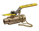 Ball Valves Ball Valves