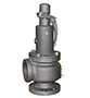 119 Series Steam Valve