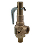 19 Series safety relief valves for steam