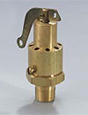 Aquatrol Steam, Air, Gas, Safety Relief Valve Series 120-130