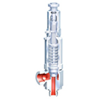 ARI-SAFE-TCS Safety Valve