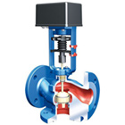 ARI-STEVI H 485-488 control valve