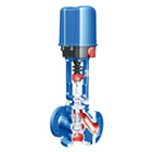 Control Valve ARI-STEVI Pro 453 