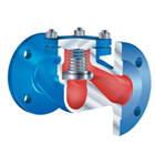 ARI-CHECKO V Check Valve