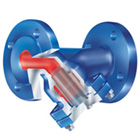 ARI-Armaturen Strainers