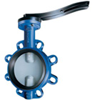 ARI Armaturen ARI-ZESA Butterfly valve
