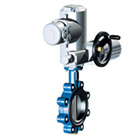 ARI-Armaturen ARI-ZIVA G Butterfly valve