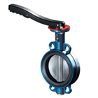ARI Armaturen butterfly valves