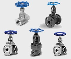 Chicago Valves Multi-Turn Globe Valves