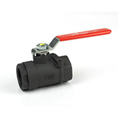 Carbon Steel 2000 psi ball valve