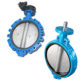 Large Diameter Butterfly Valve