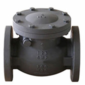 Cast Iron Swing Check Valve