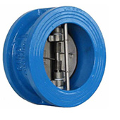 Cast Iron Wafer Check Valve