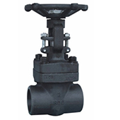 Forged Steel Bolted Bonnet Gate Valve