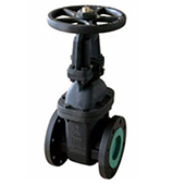 Class 125 Cast Iron OS&Y Gate Valve