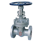 Class 300 Cast Steel Gate Valve