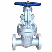 Class 600 Cast Steel Gate Valve