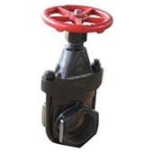 Cast Iron Clip Gate Valve