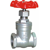 NRS Gate Valve