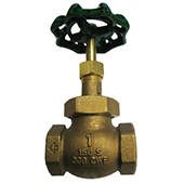 Bronze Globe Valve