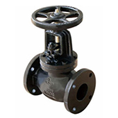 Cast Iron Globe Valve