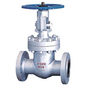 Cast Steel Globe Valve, Class 600