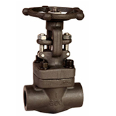 Forged Steel Bolted Bonnet Globe Valve