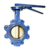 Lug Style Butterfly Valve