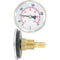 Hot Water Thermometer